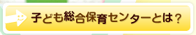 子ども総合保育センターとは？