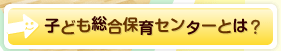 子ども総合保育センターとは？