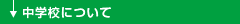 wZɂ