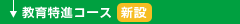 iR[XyV݁z